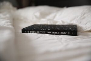 een boek met de titel you are the universe itself